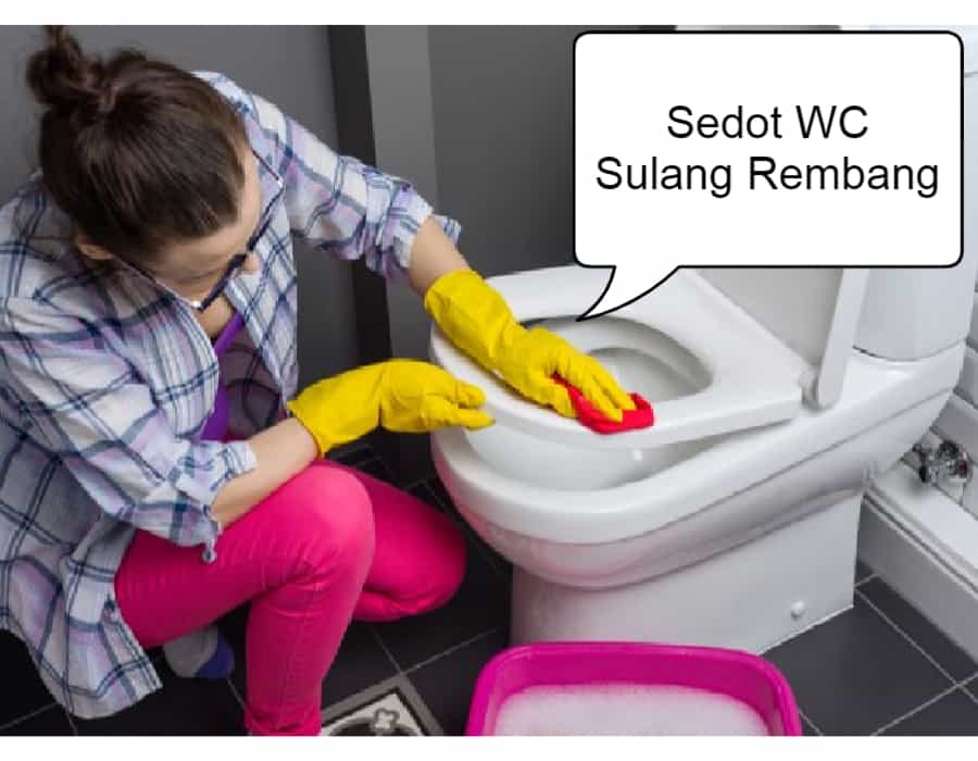 Sedot WC Sulang Rembang