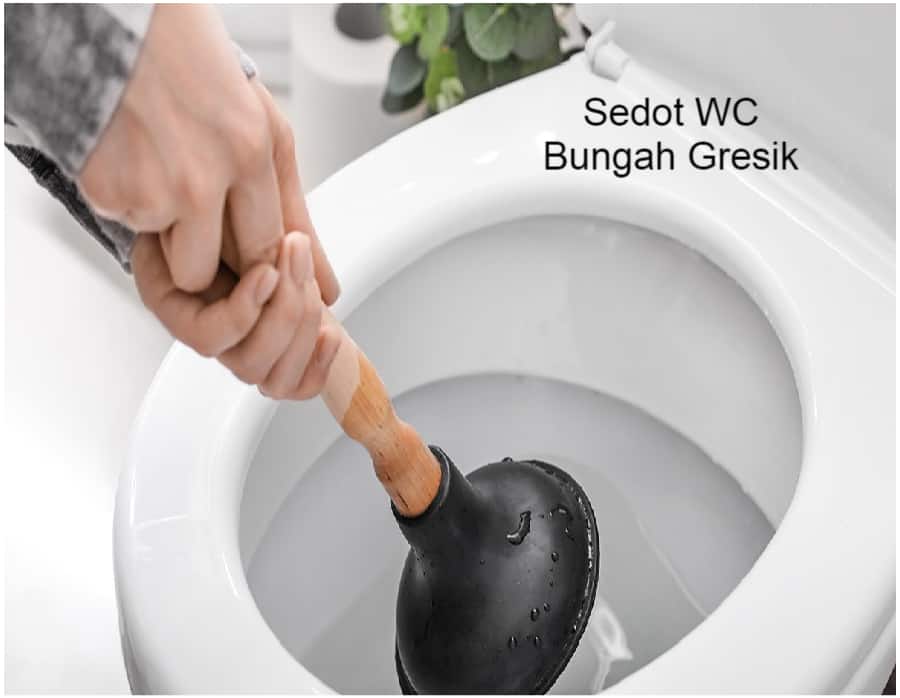 Sedot WC Plandaan Jombang