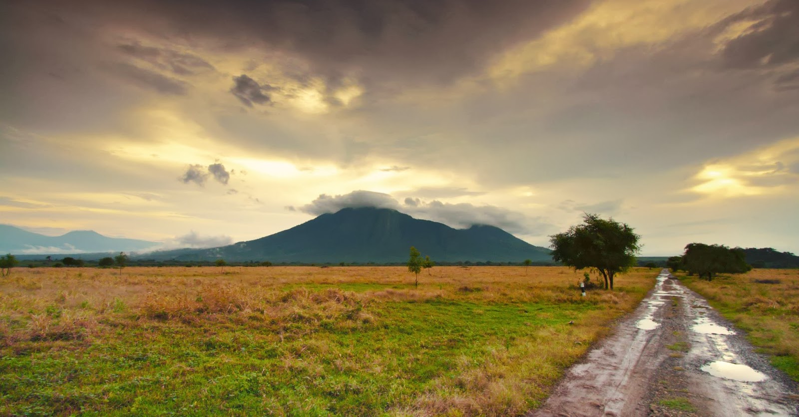 harga tiket national baluran park terbaru