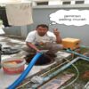 Sedot WC Silo Jember Jaminan Harga Murah - Gambar 3
