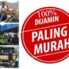 Sedot WC Wates Kediri Jaminan Harga Murah