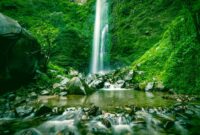 air-terjun-coban-rondo