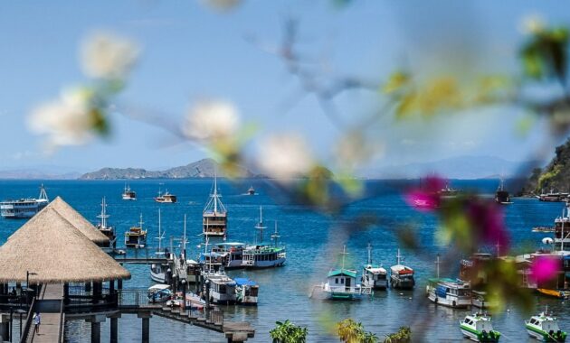 aktivitas wisata labuan bajo