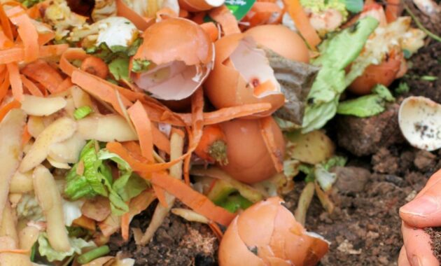 contoh limbah rumah tangga