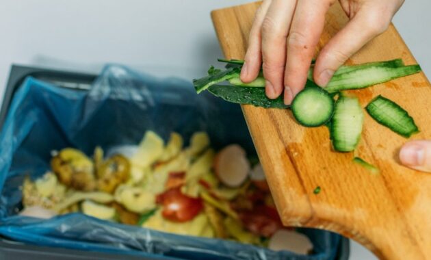 cara pengolahan sampah domestik