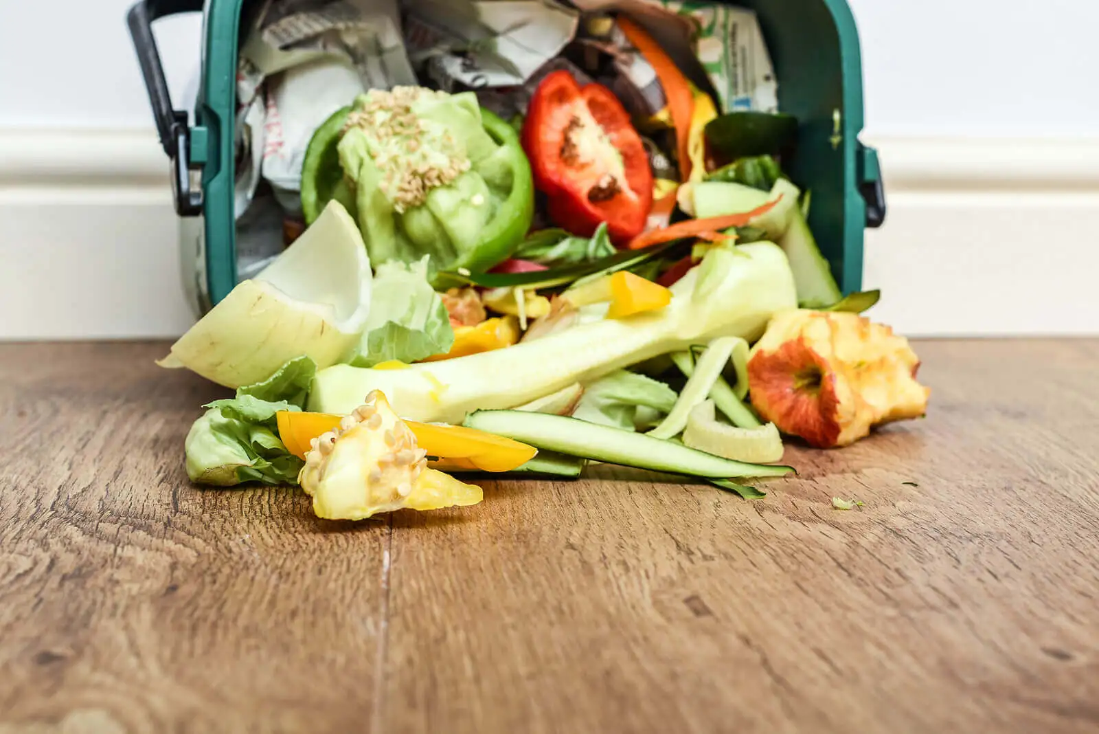 pengolahan-limbah-domestik