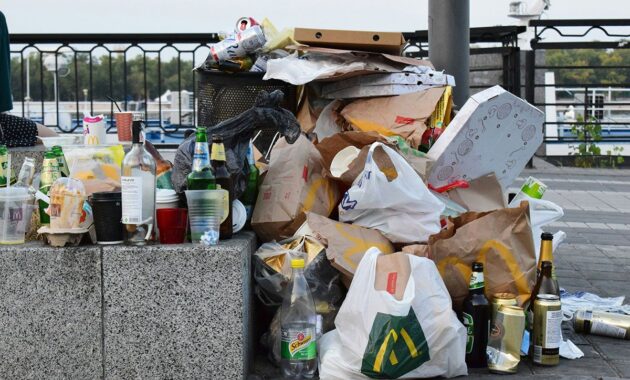 tips pengolahan limbah domestik