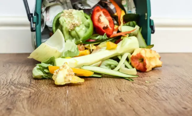 contoh limbah organik di rumah