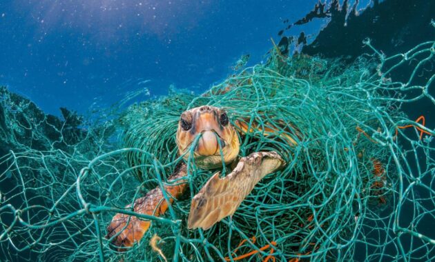 cara mengatasi sampah di laut